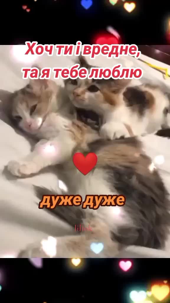@✨Liliok✨
