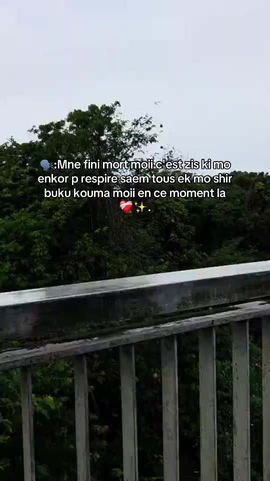 @srNINJA&times;28