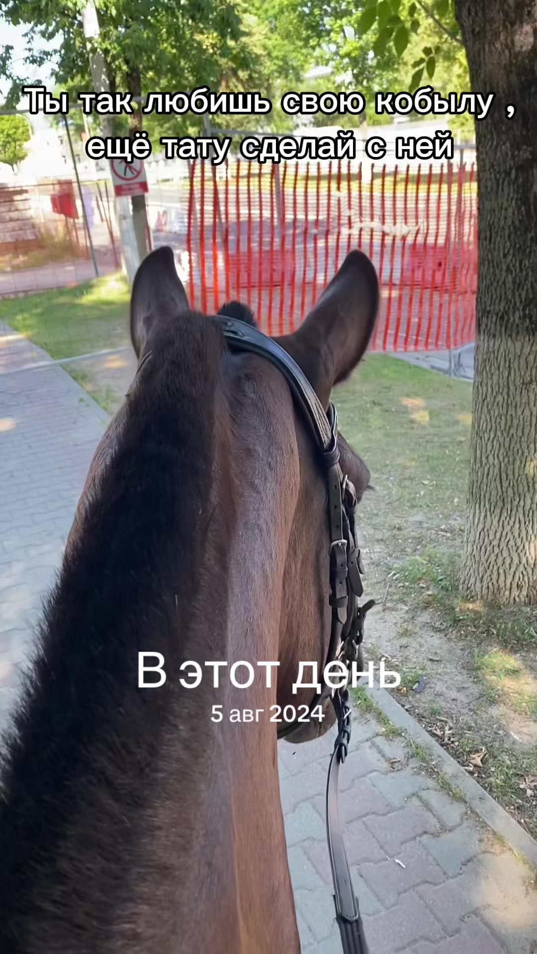 @umago.vitebsk