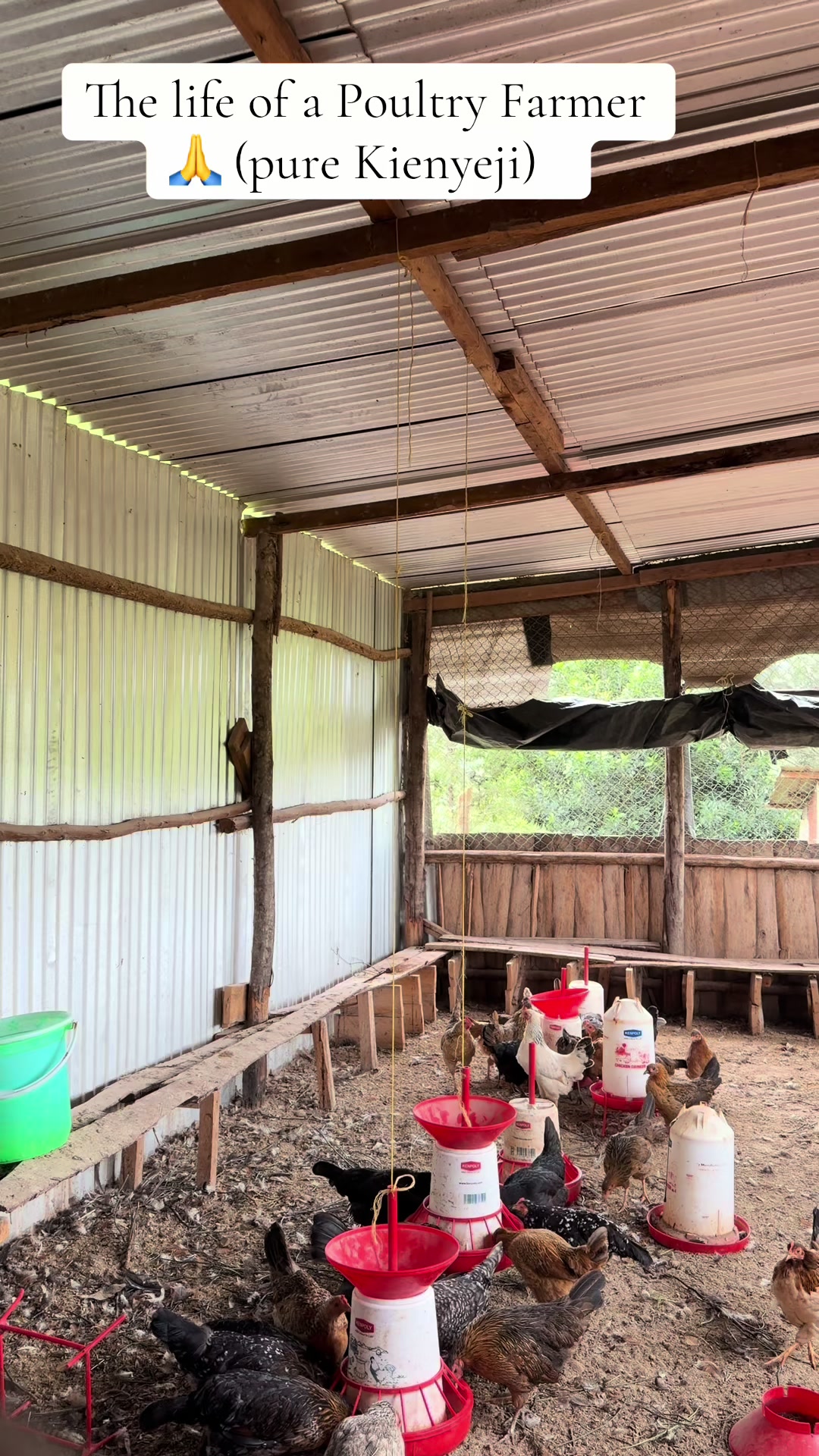@kimasmartfarmsltd