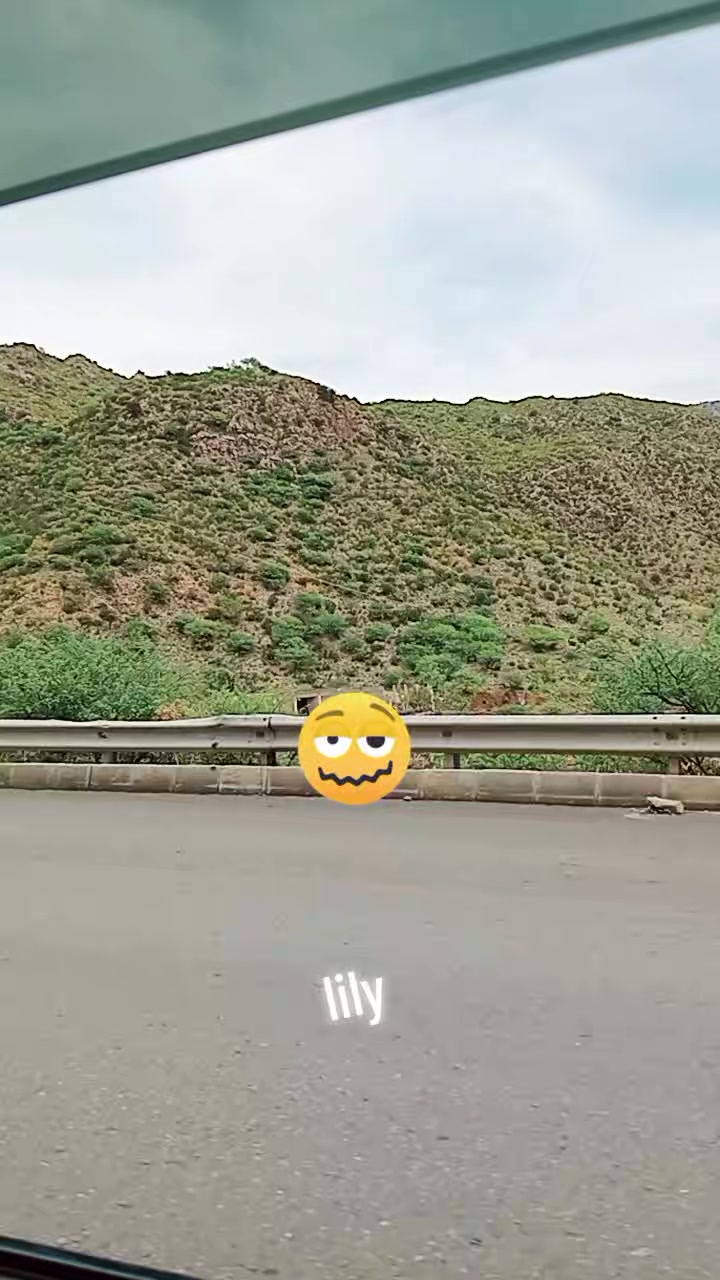 @lilylily4444