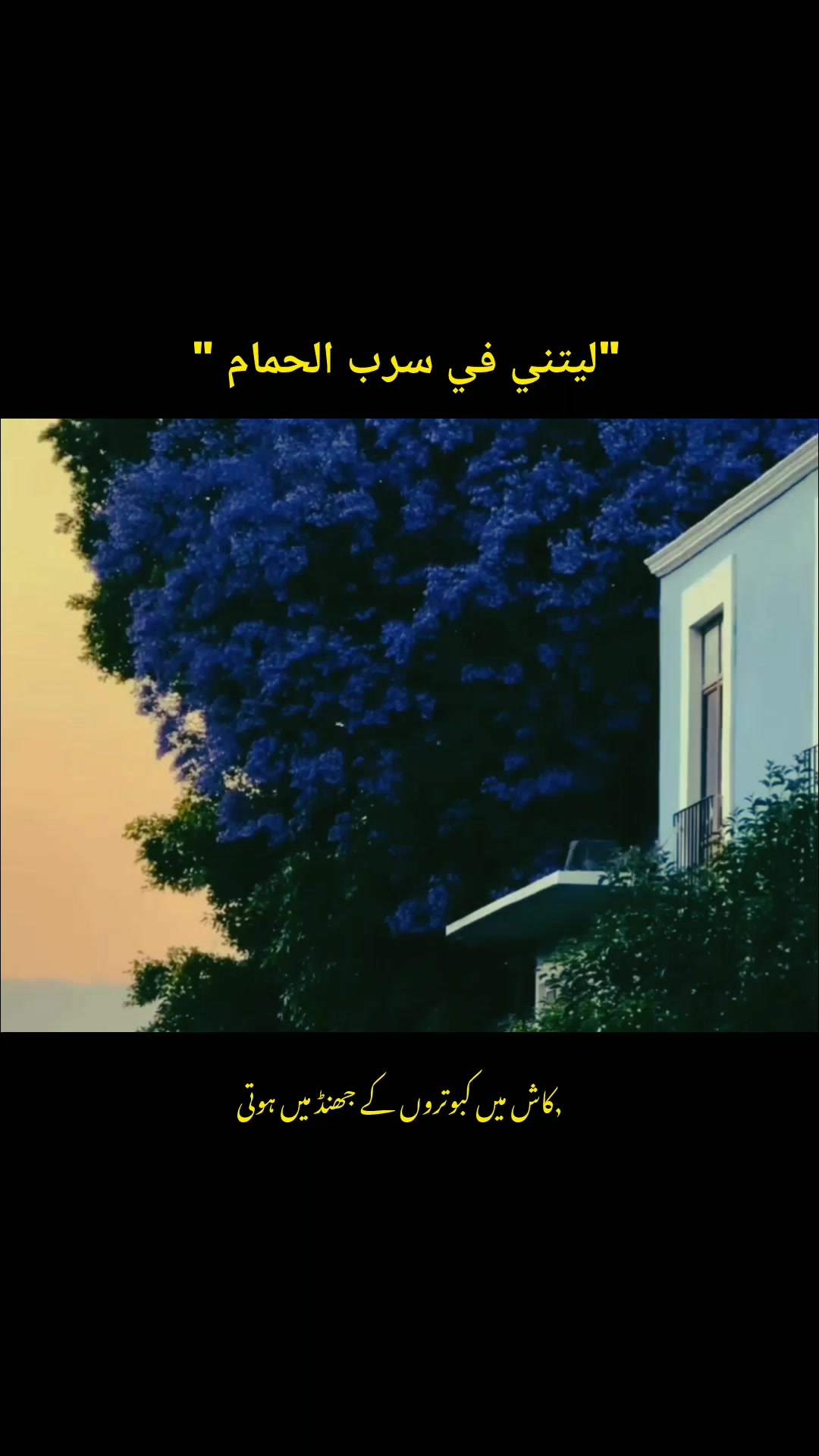 @Arabic Nasheed.!