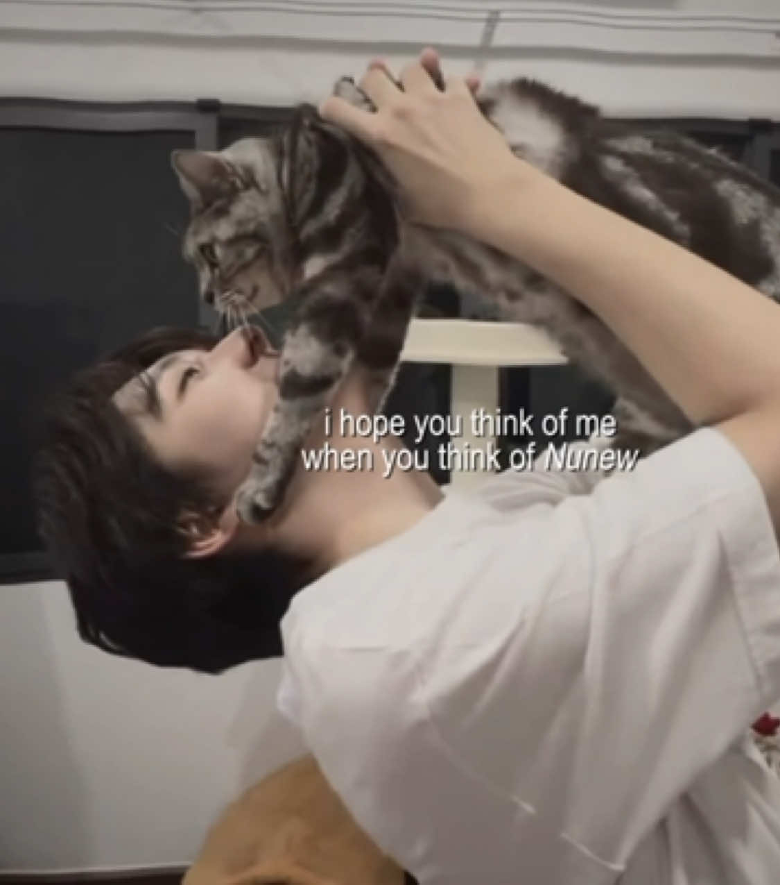@𝘥𝘦𝘺𝘶𝘶 ✦