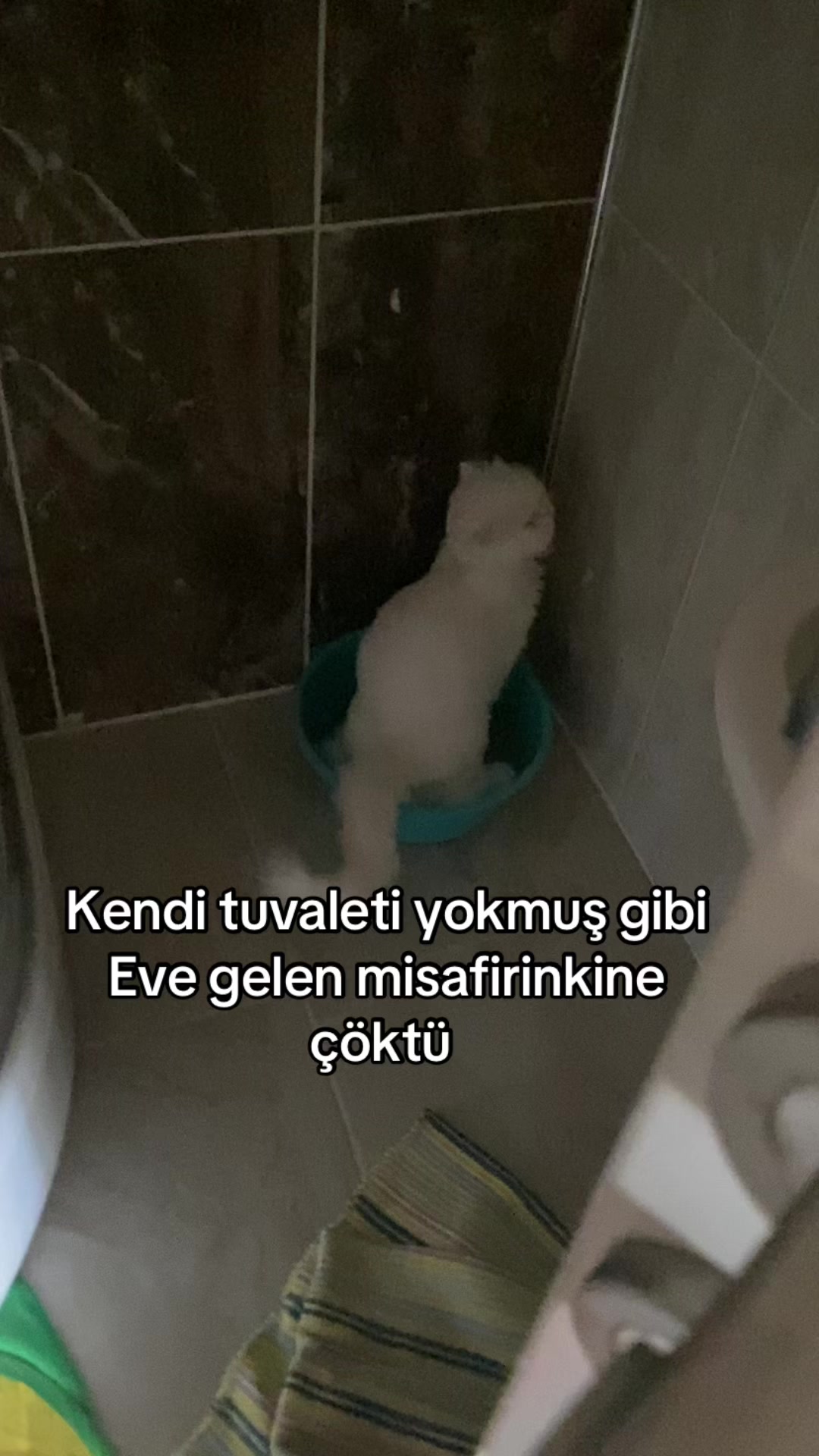 @yudummz_
