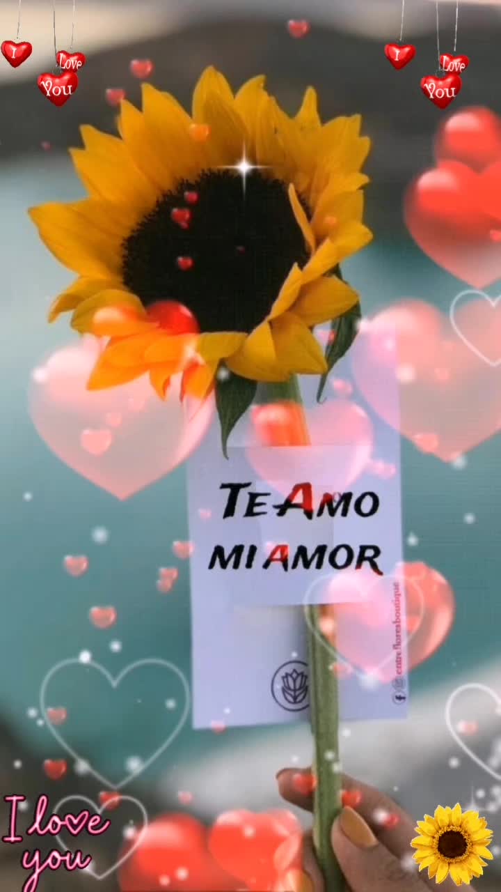 @LOVE❤️🌻Girasol🌻🌻❤️🌻❤️💞