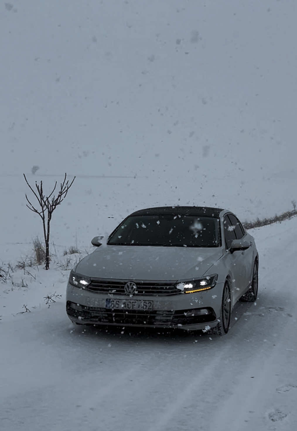 @arslan.doğan
