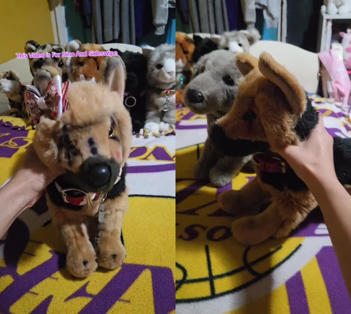 @🪽🐕🏀IsabellaandDino🧁🎀🐾