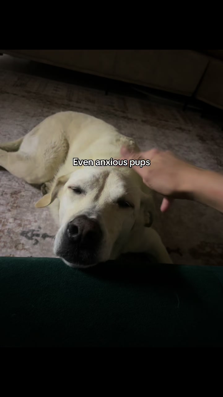 @Nala & Bella 💜