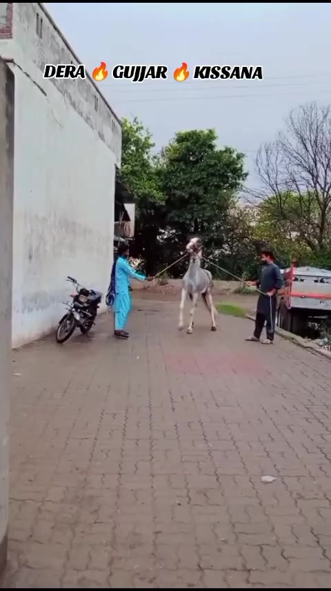 @𝐆𝐔𝐉𝐉𝐀𝐑 𝐊𝐈𝐒𝐒𝐀𝐍𝐀55