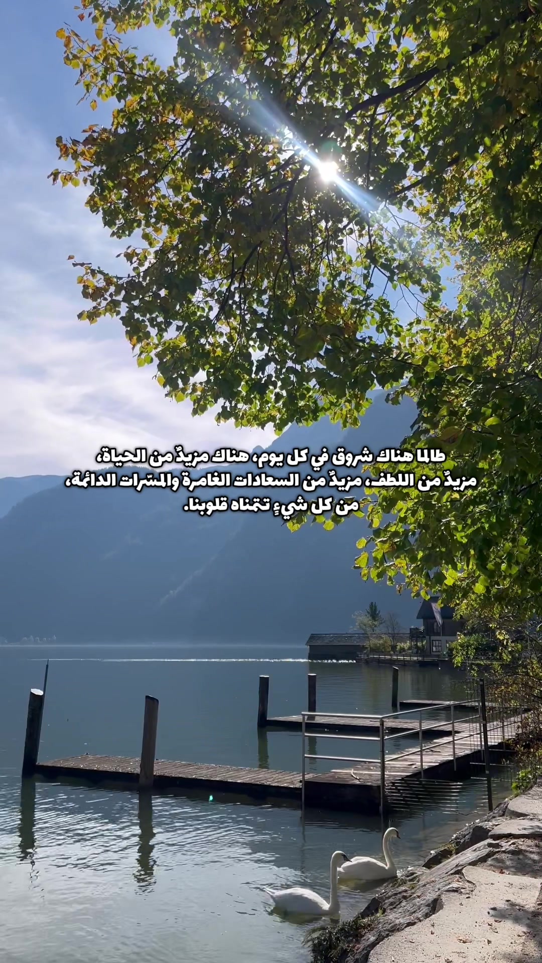@Mariam Al-Hussain