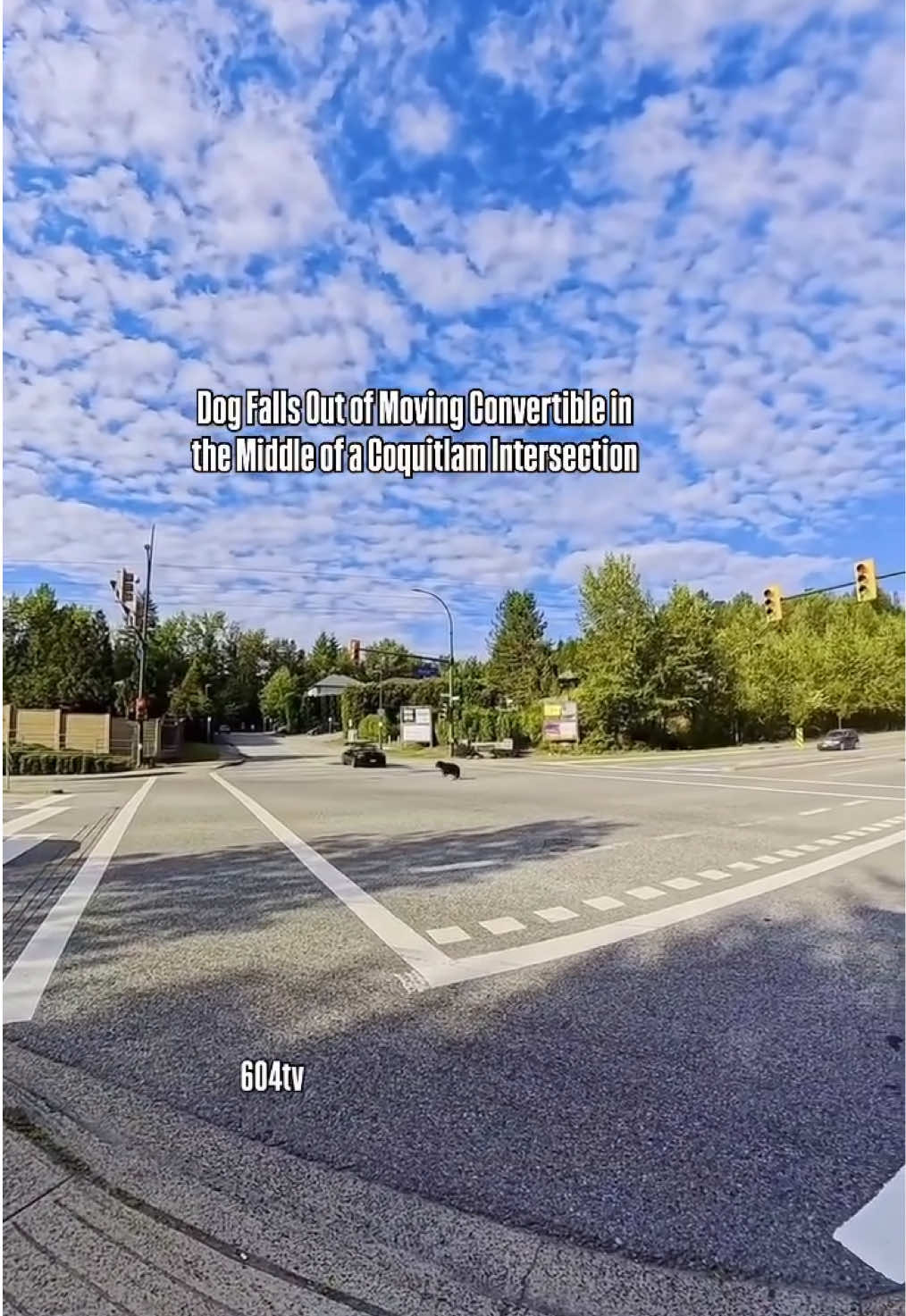 @604tv