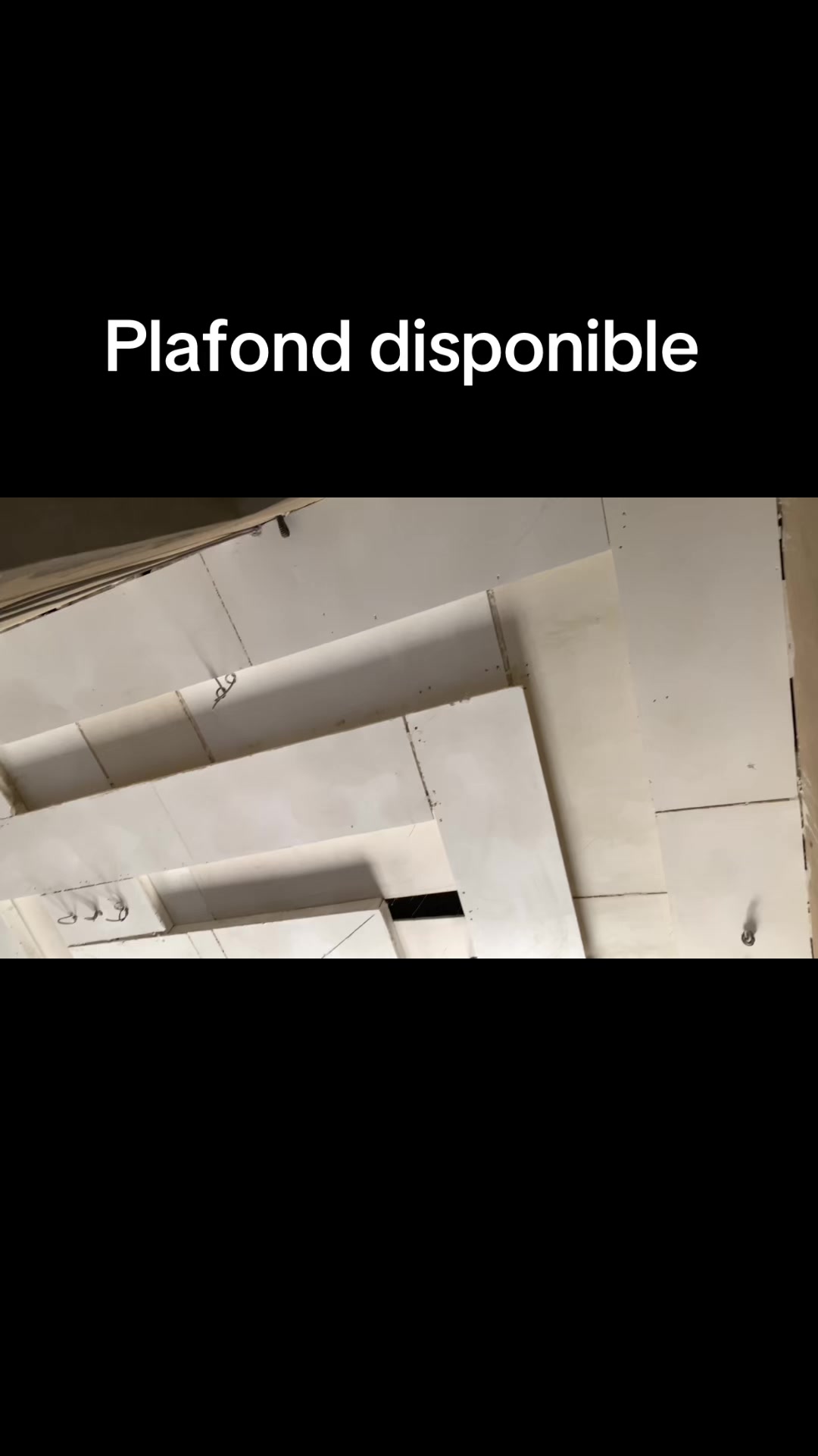 @Plafond 241✪🦺