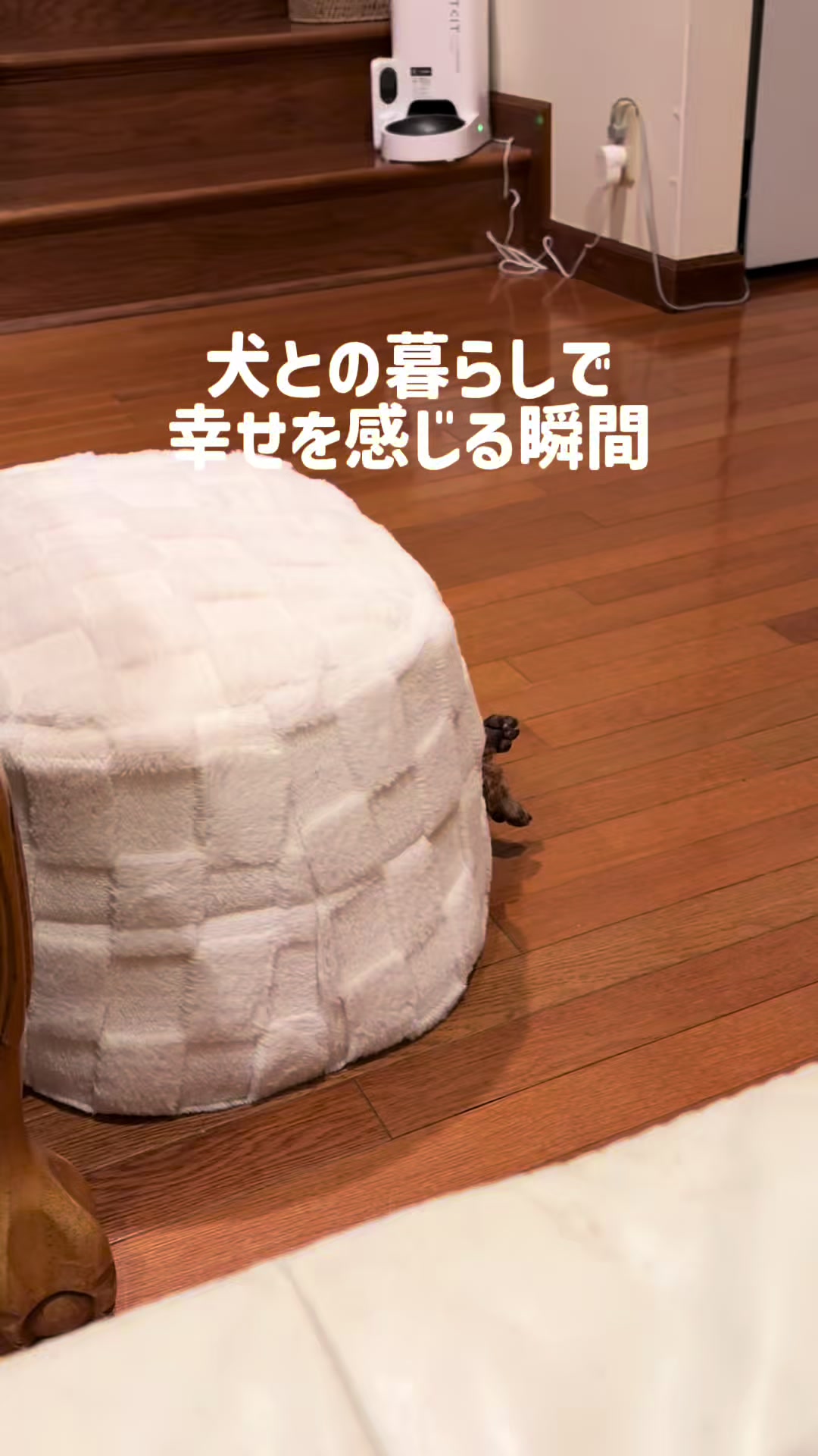 @るるもも