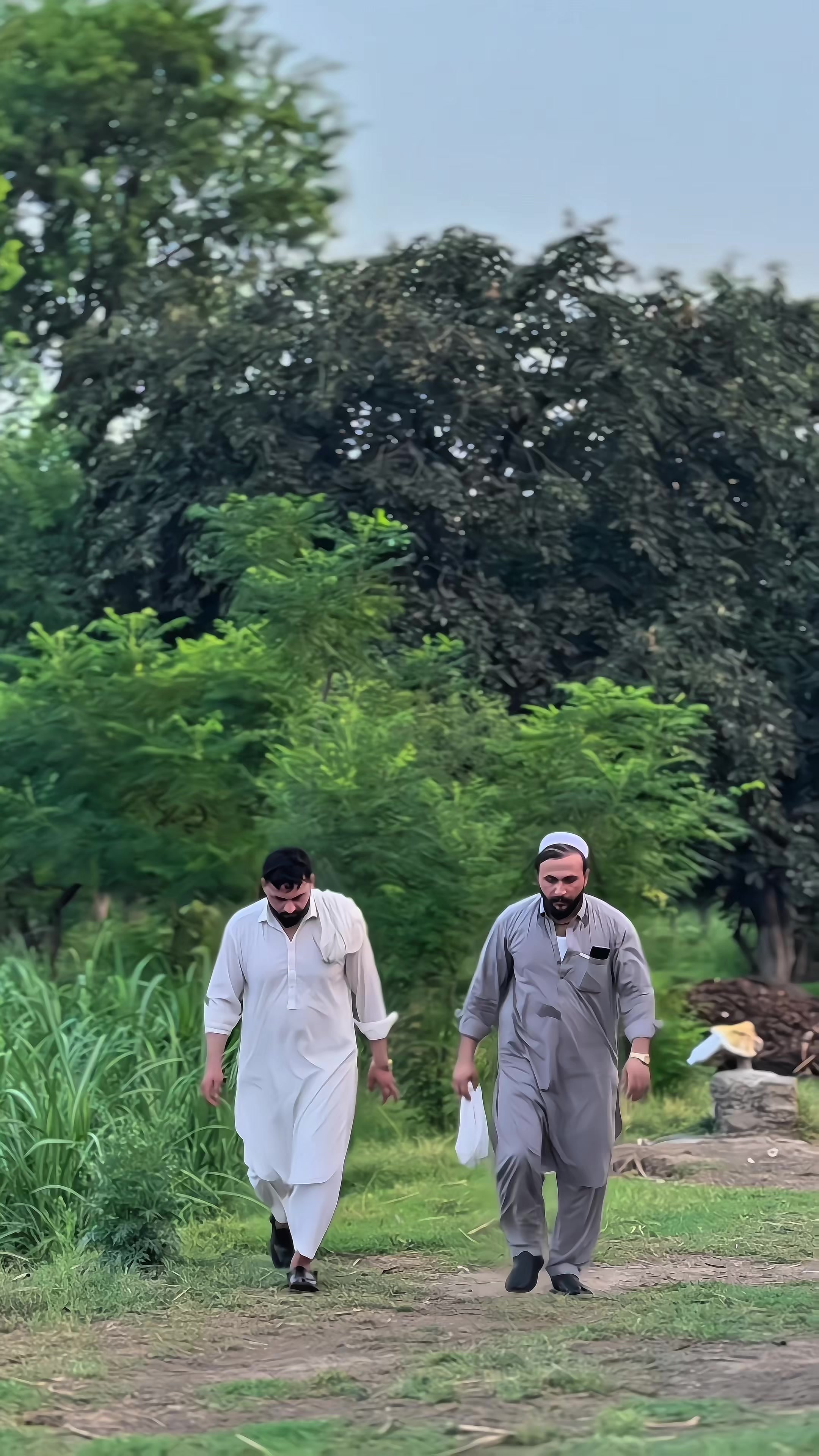 @🔥غنم رنگ🥀انعام🔥