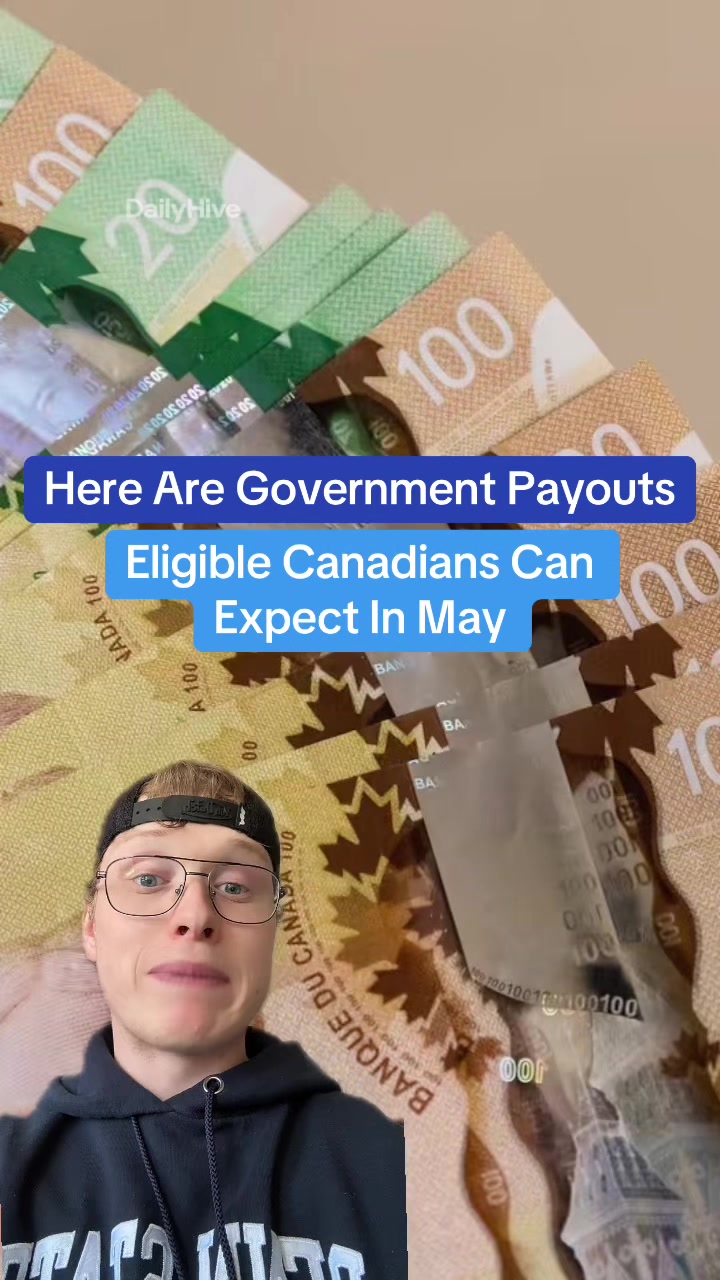 @dailyhivecanada