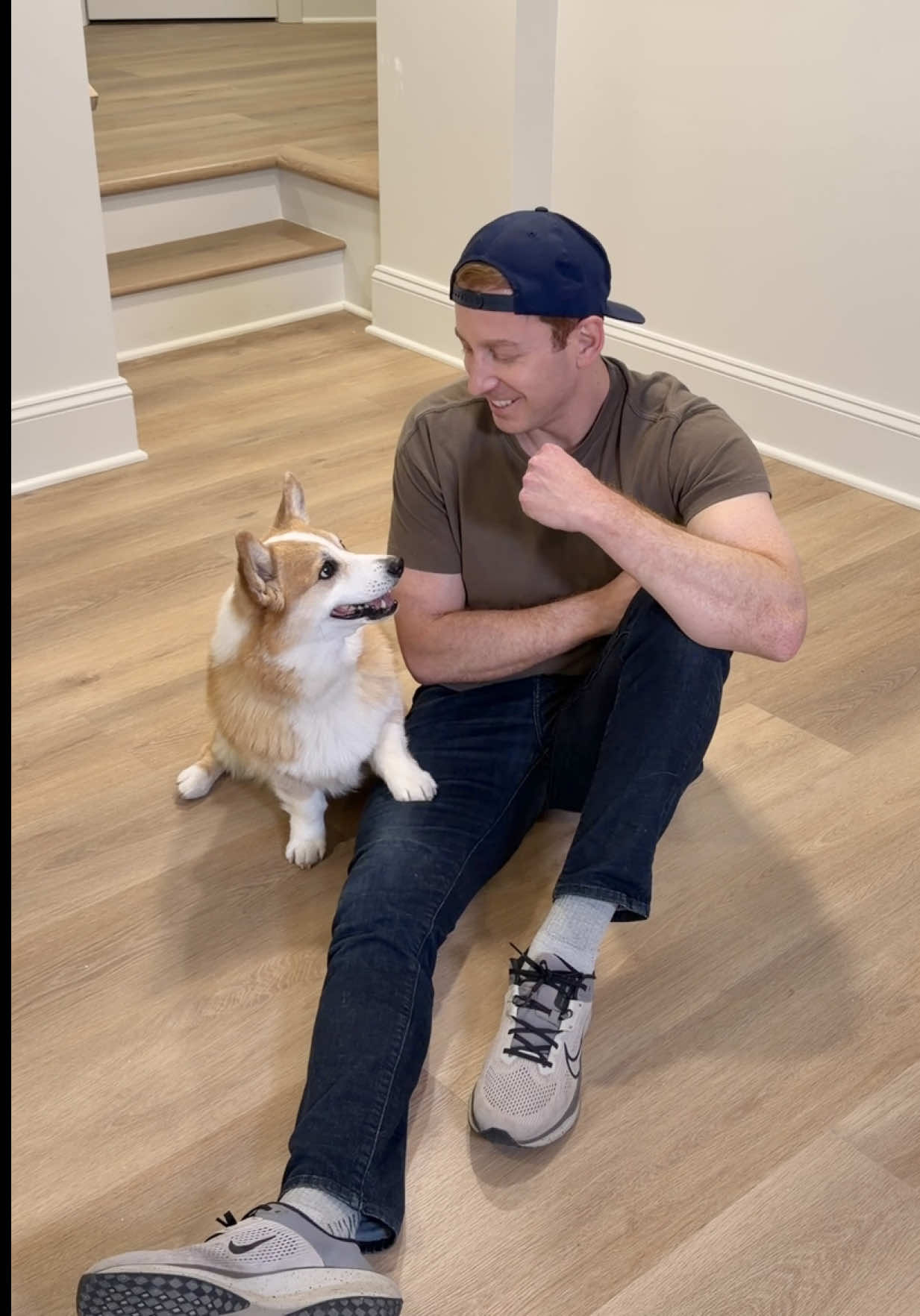 @Hammy & Olivia Corgi