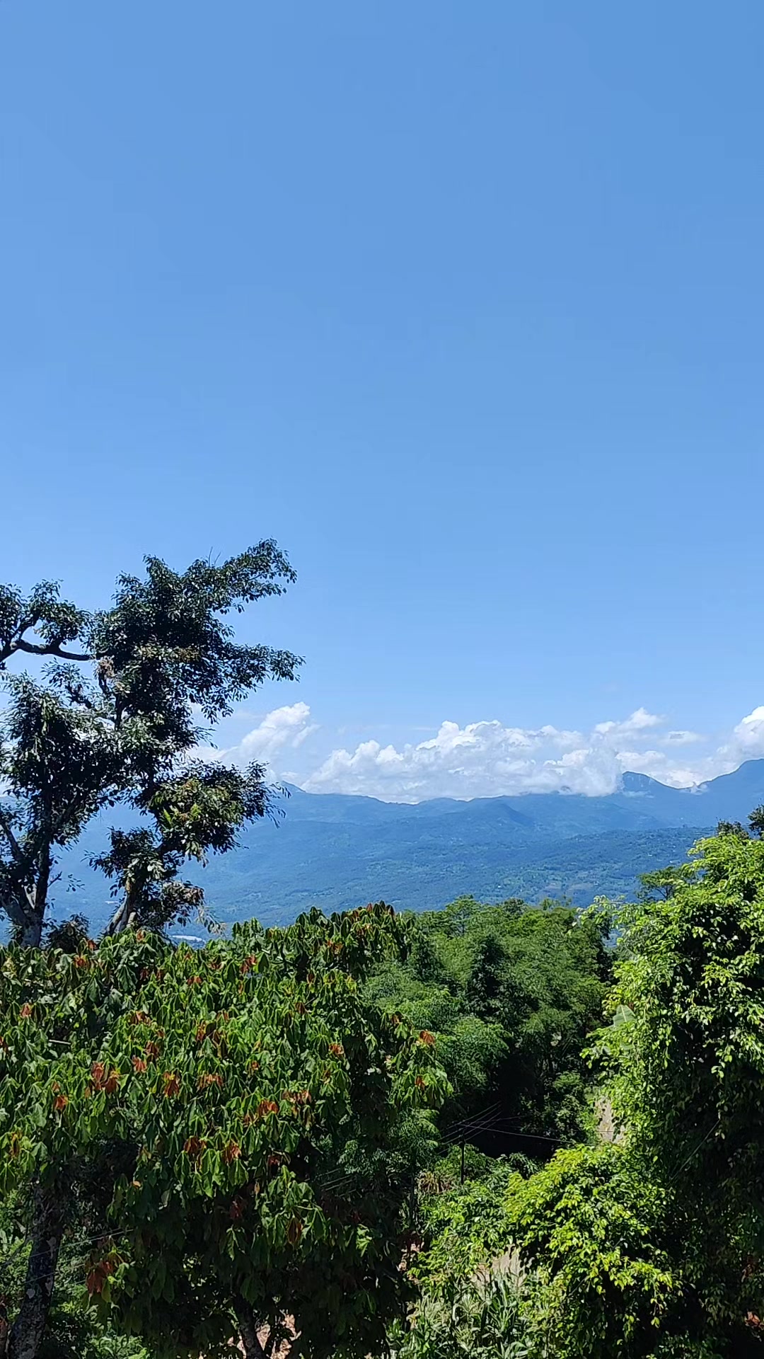 @Prakash_xtri♥️🇳🇵