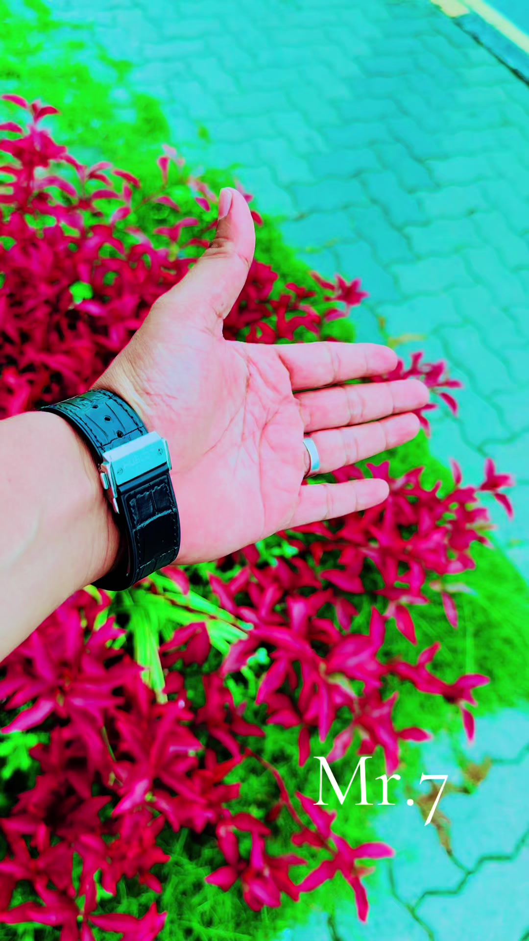 @ฤฑllฤฑllฤฑ ๐๐ซ.๐ ฤฑllฤฑllฤฑ