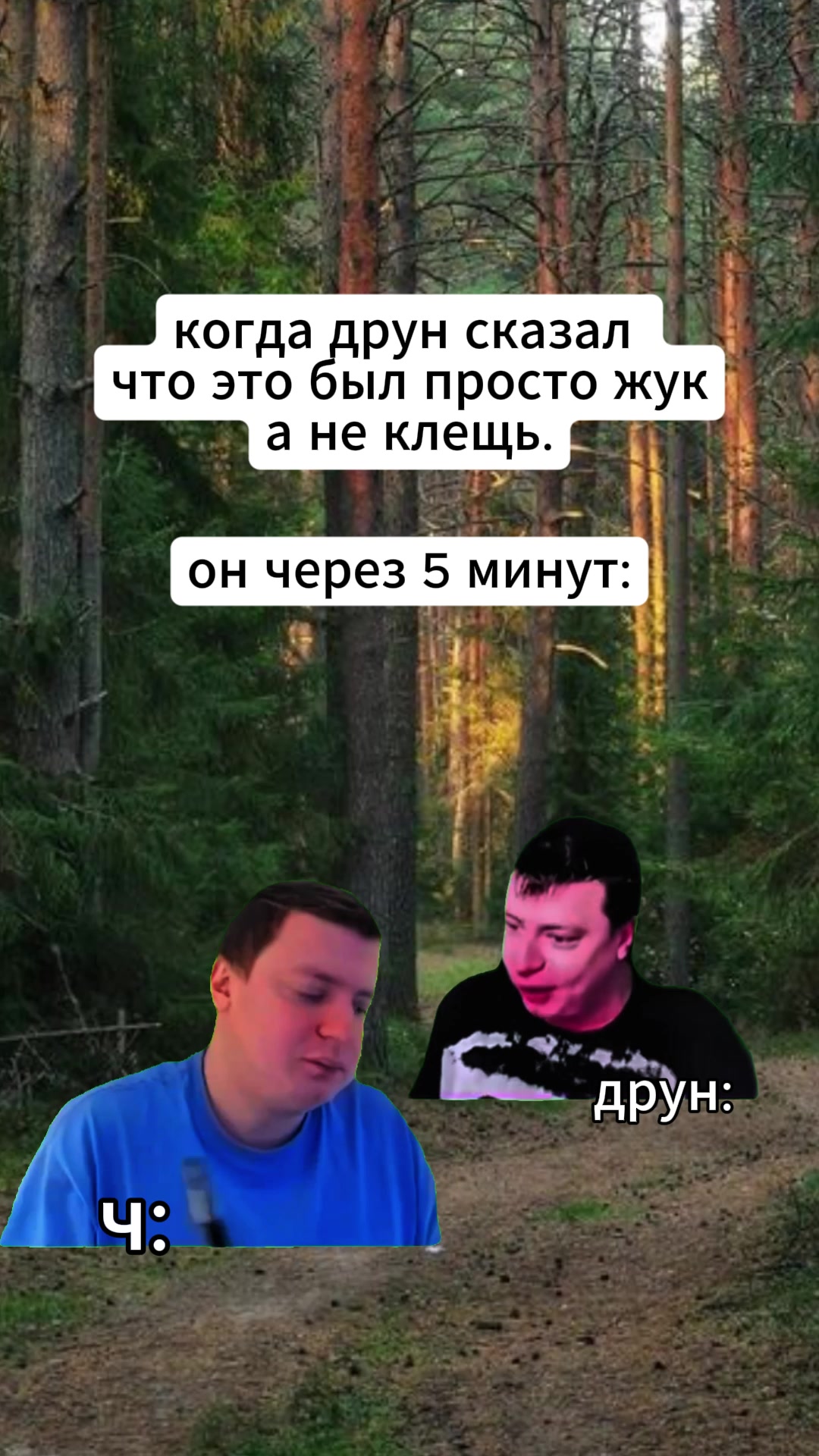 @Mellfull