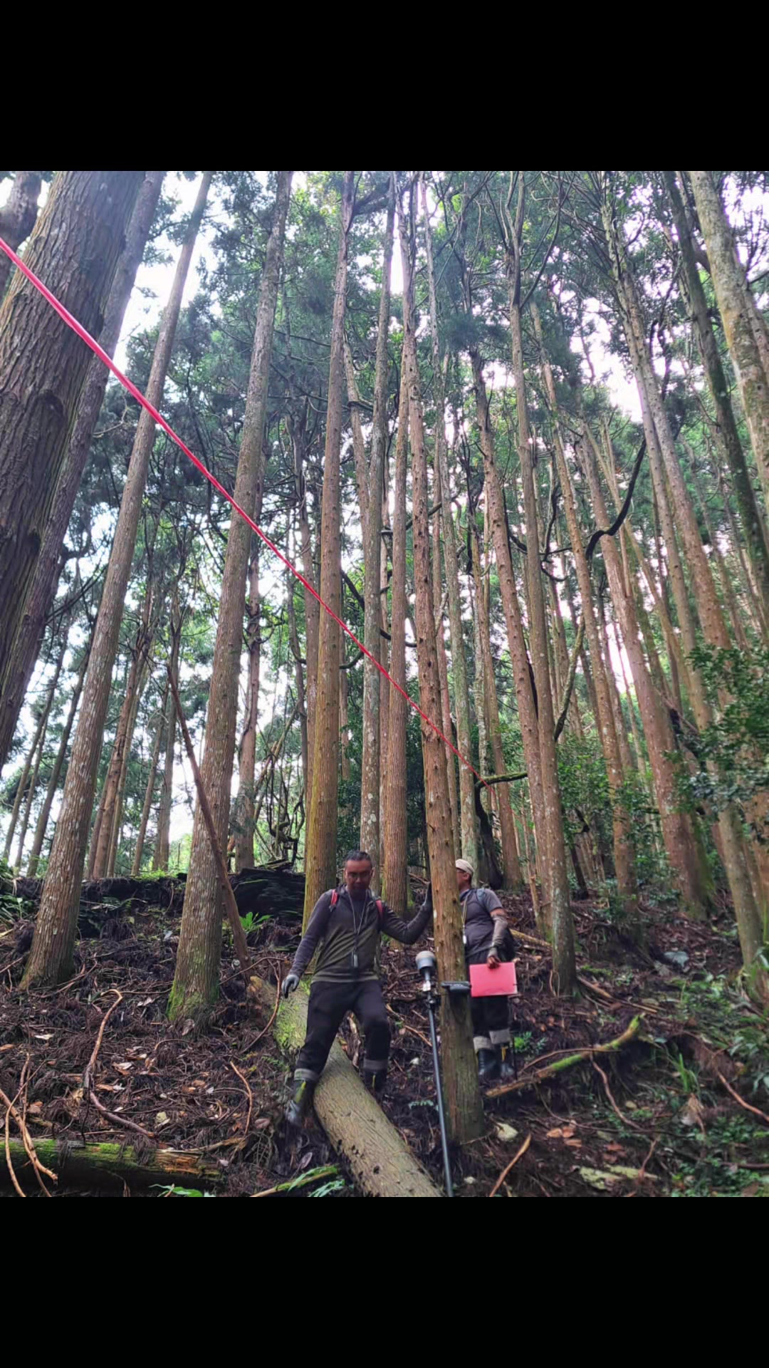 @銘記在心ARP(59-2期)