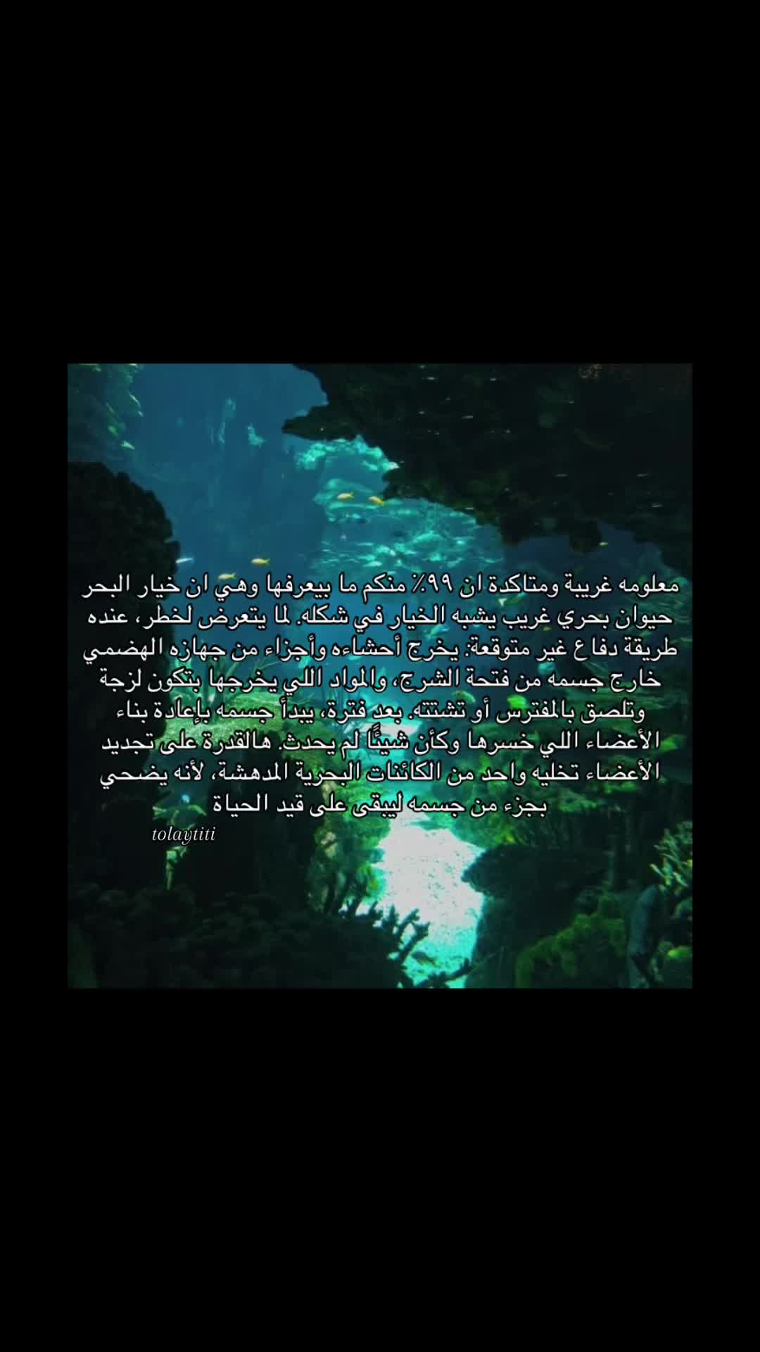 @t.aosi.0