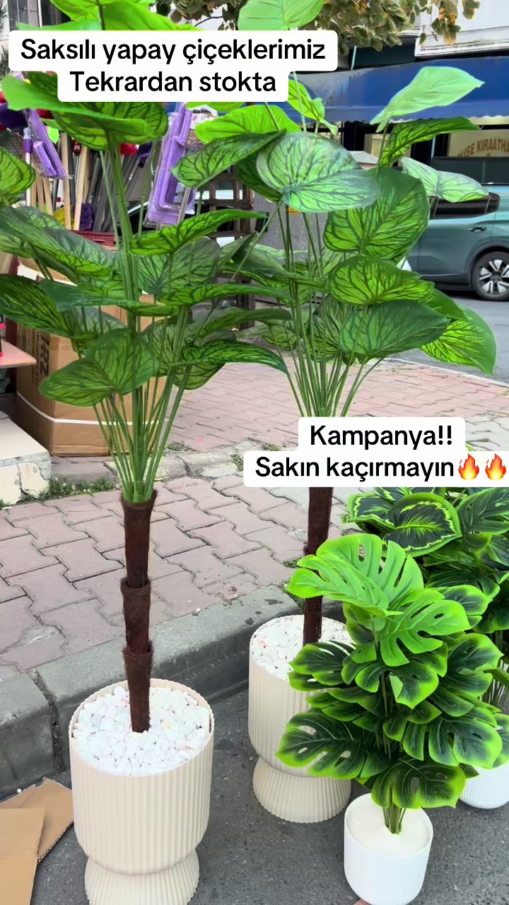 @GUNESPARKAVM