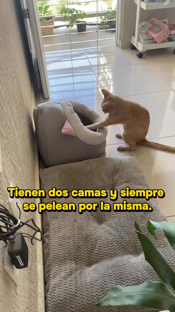 @Nancy Arreola