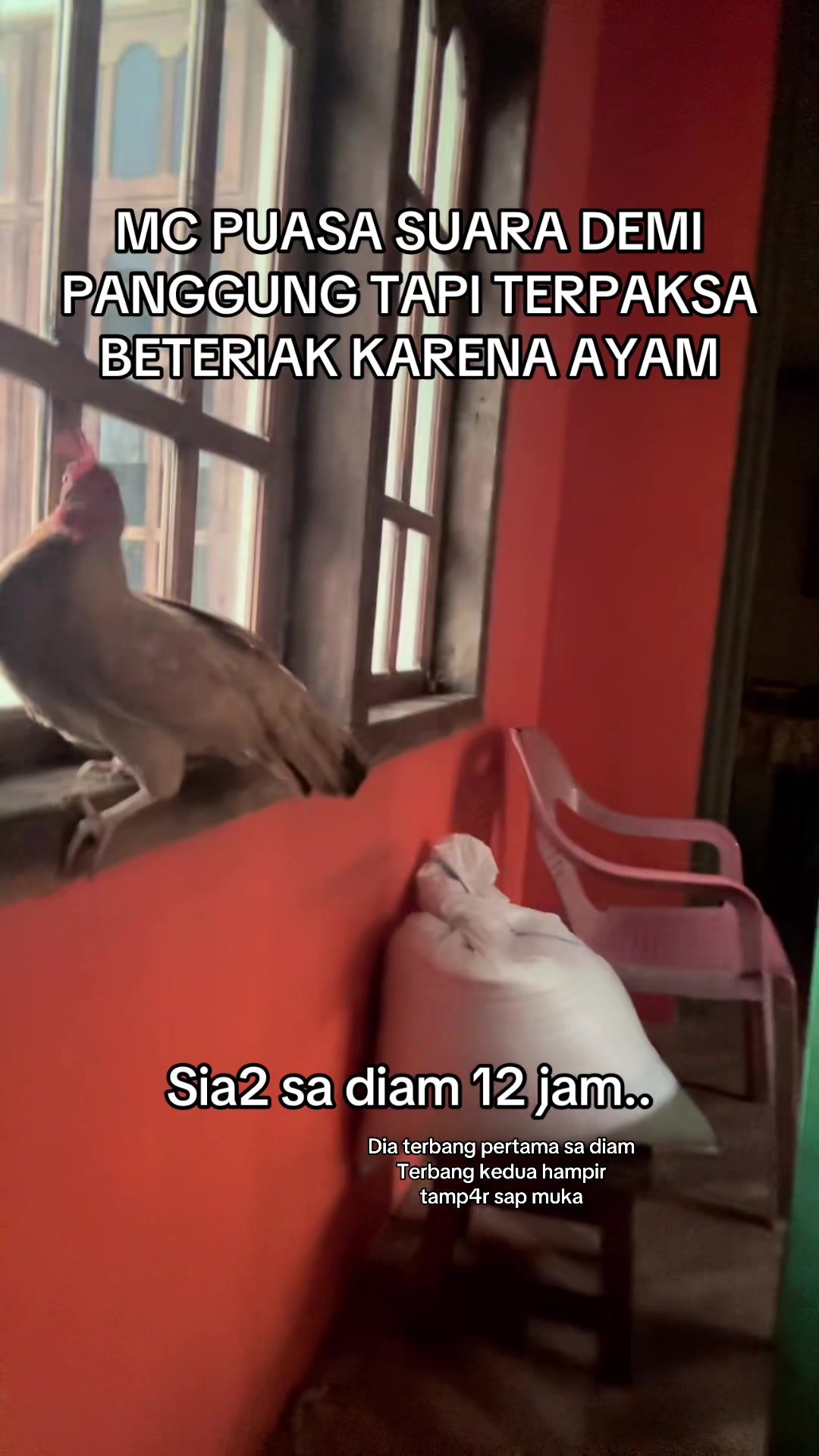 @Suci Maria