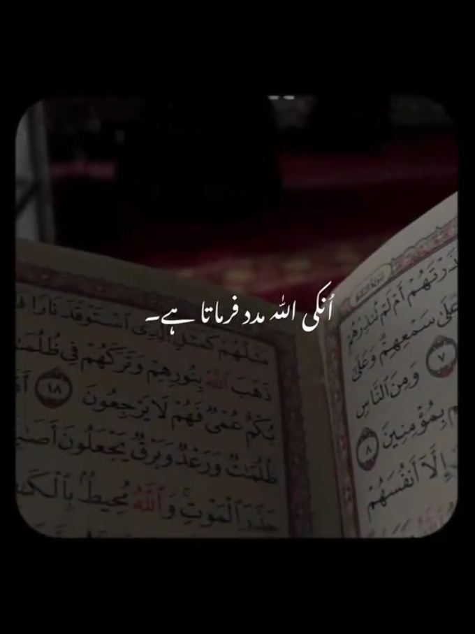 @👑🌎❤️SaKun--e--QaLbe❤️💍🫂