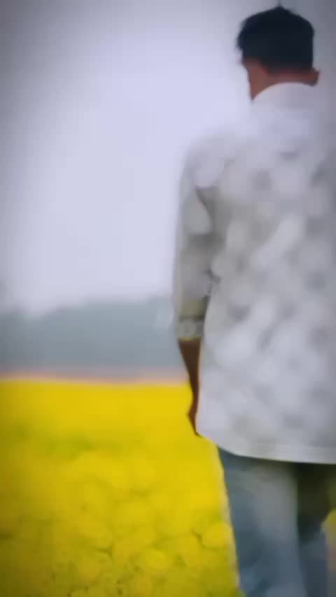 @md johirulislam