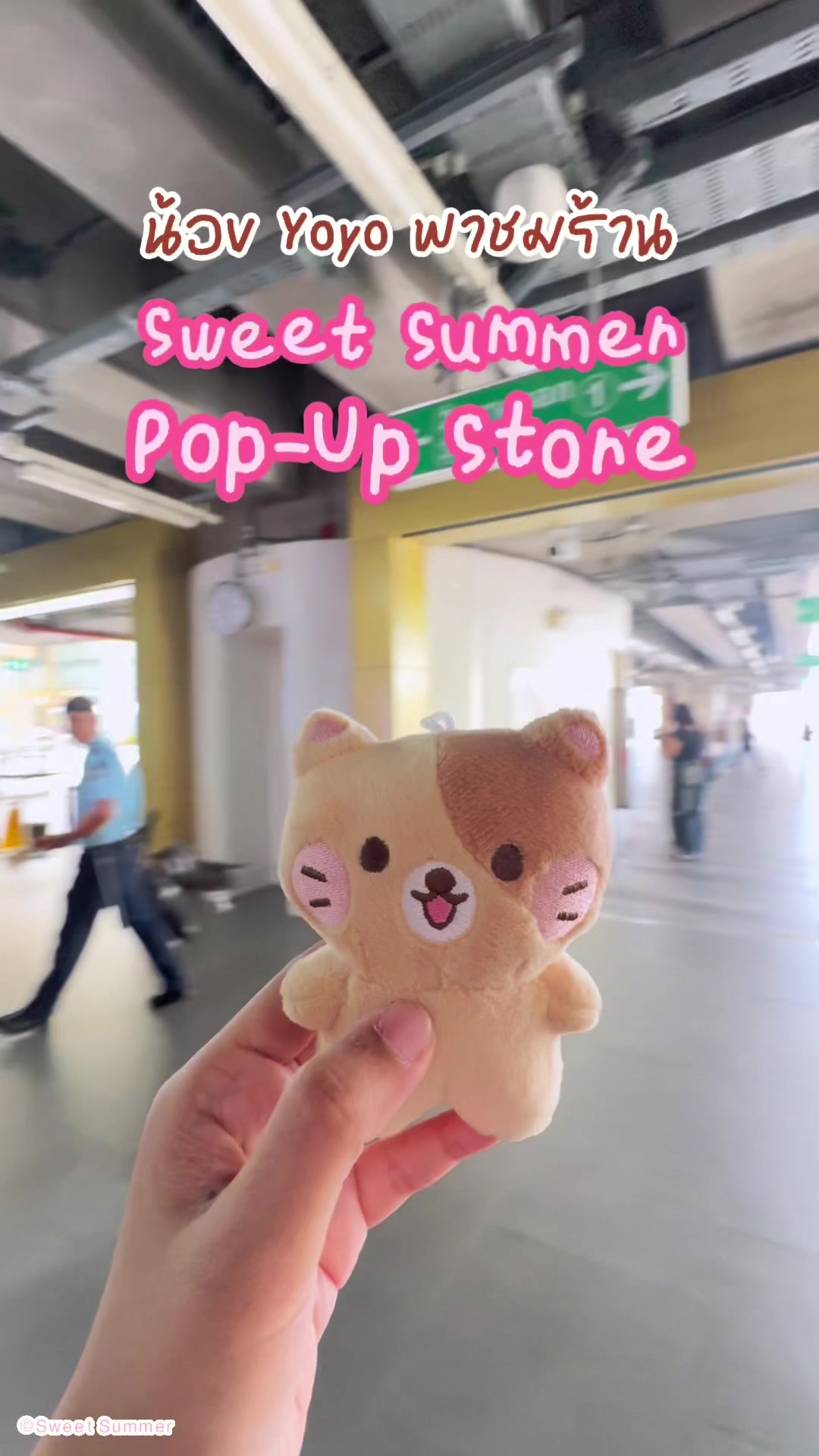 @Sweet Summer Stationery