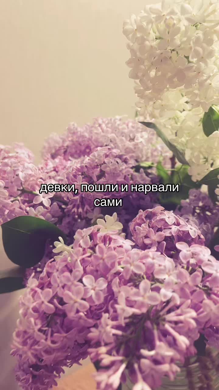 @тгк: daritkkis