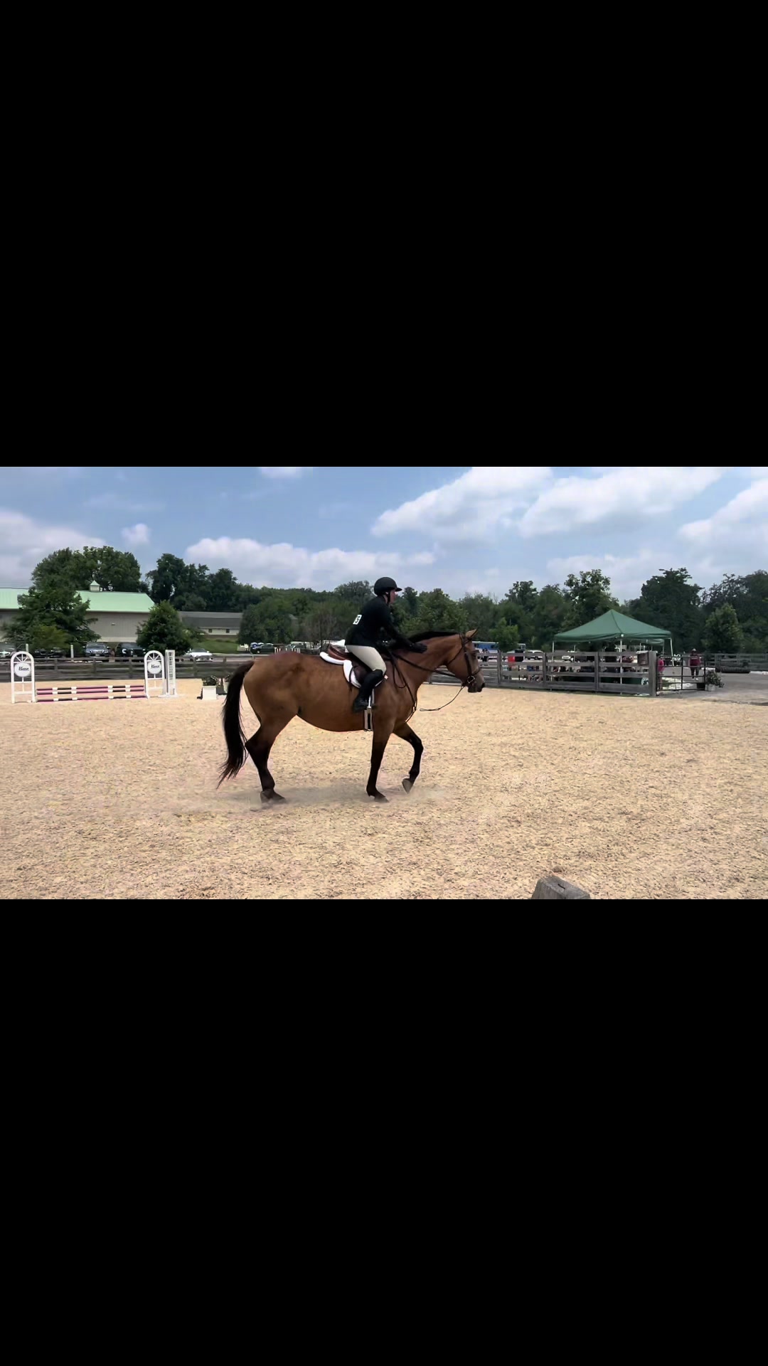 @Aftyn 🐎