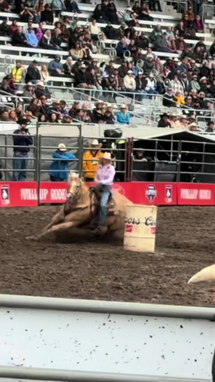 @BarrelRacing.com