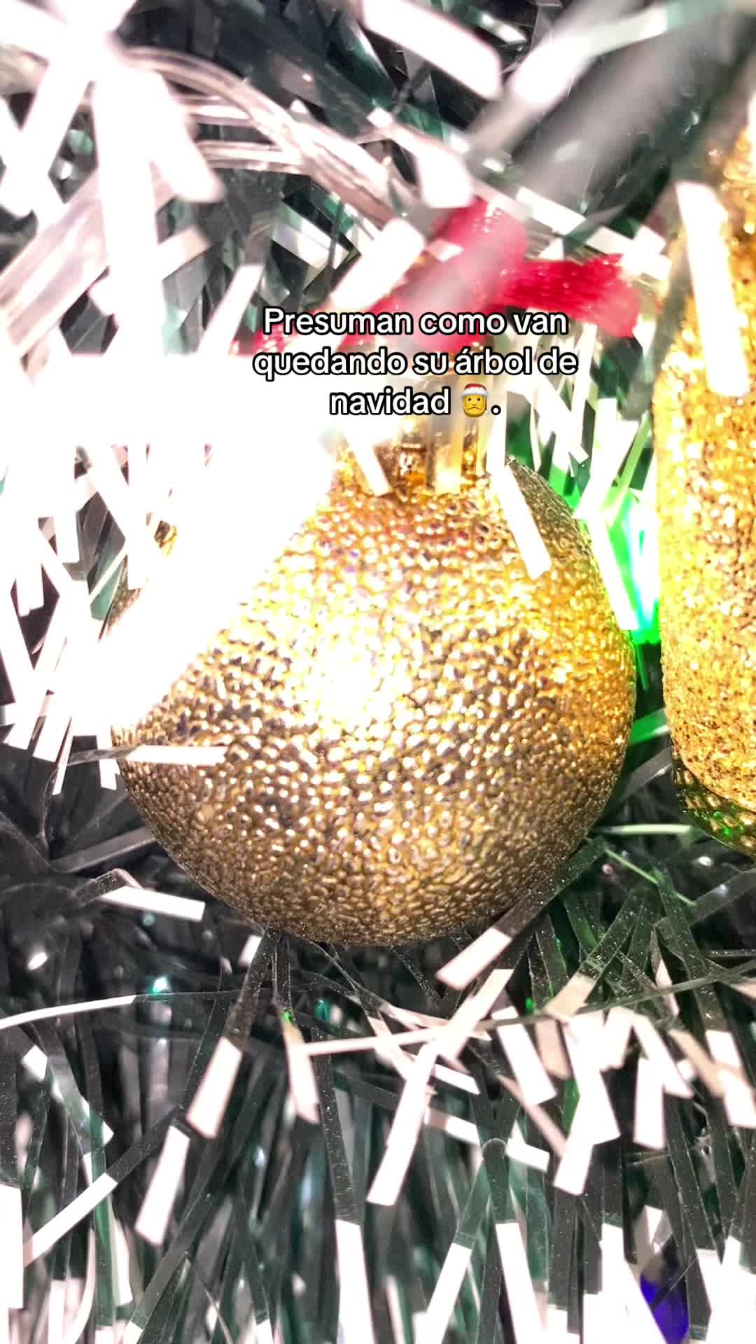 @🥝FRANCO🥝