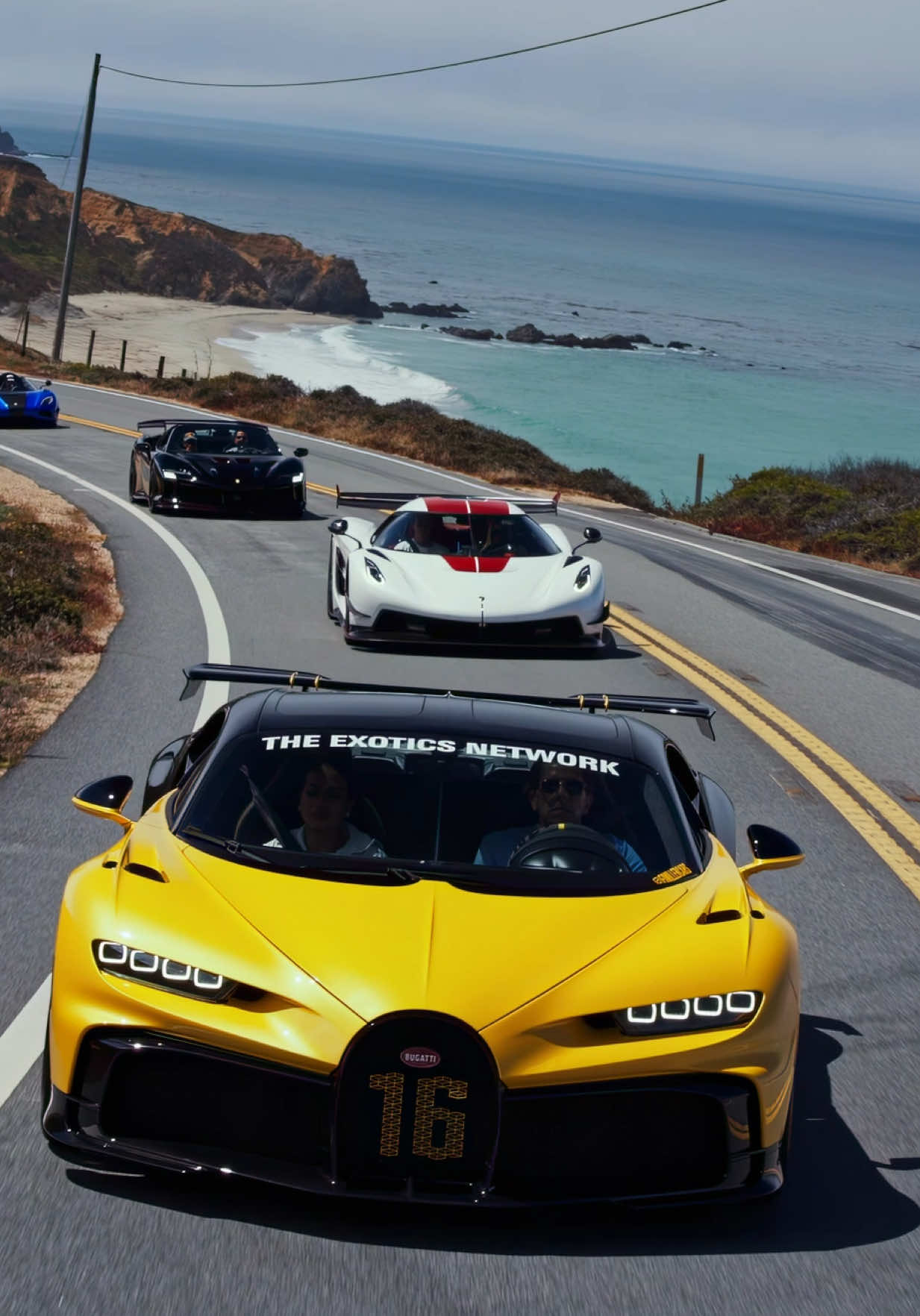 @theexoticsnetwork