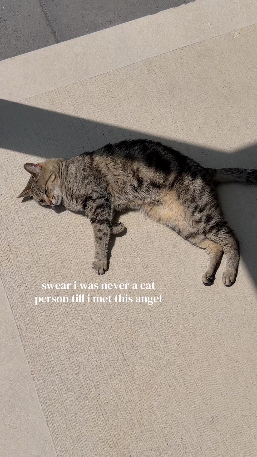 @౨ৎ pixelatedvanilla ౨ৎ