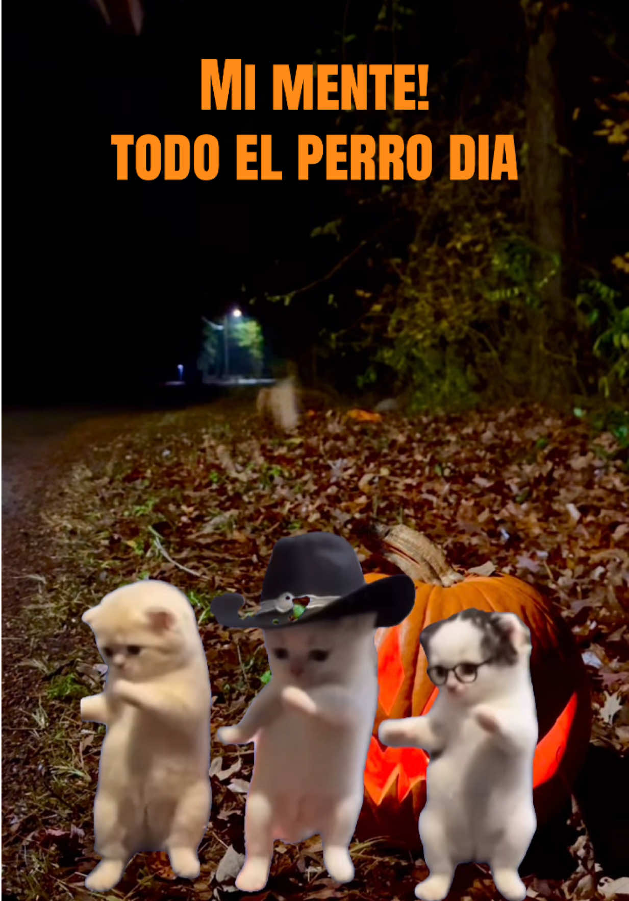 @Andypanda16