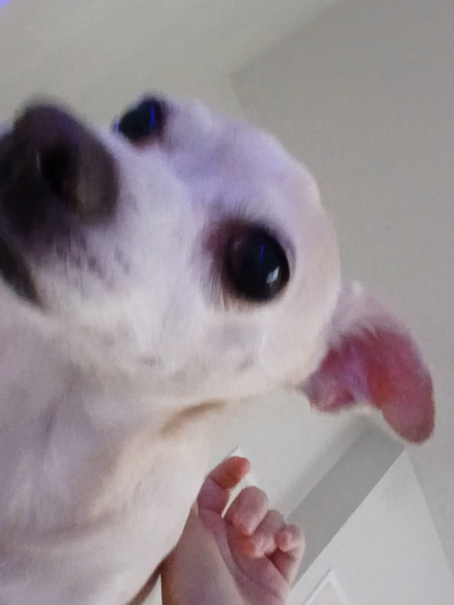 @𝄢𝔪𝔞𝔯𝔰