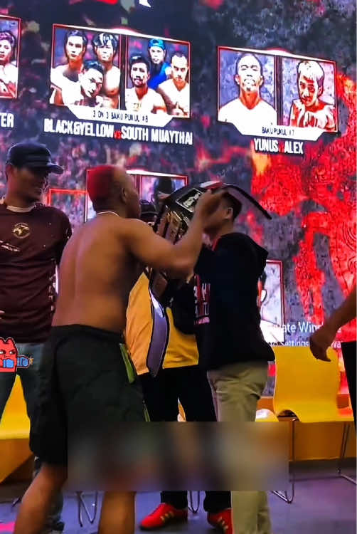 @boxer_tk