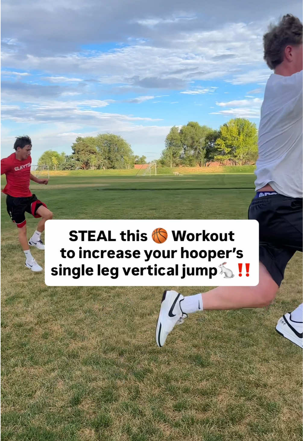 @Coach Drasites