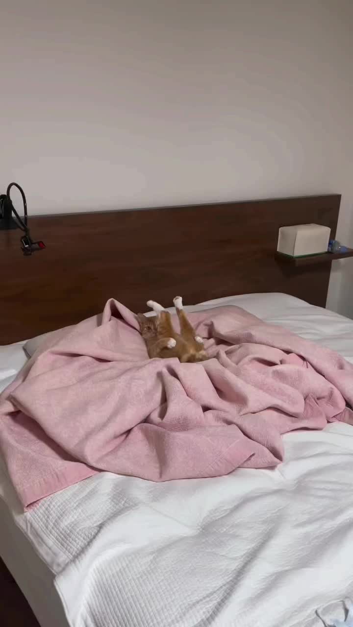 @Maxxxxxxx