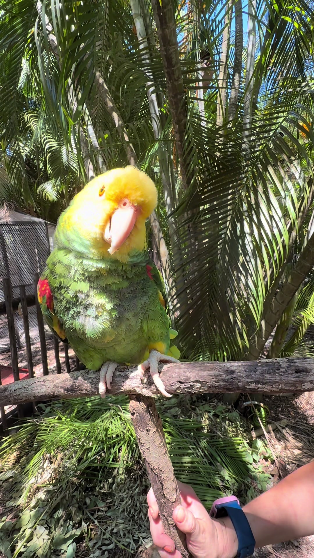 @Palm Beach Zoo