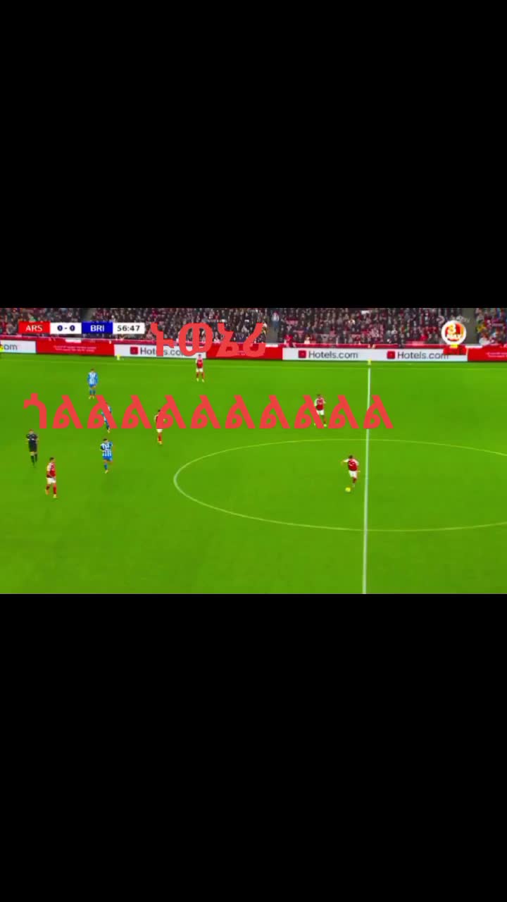 @arsenal love