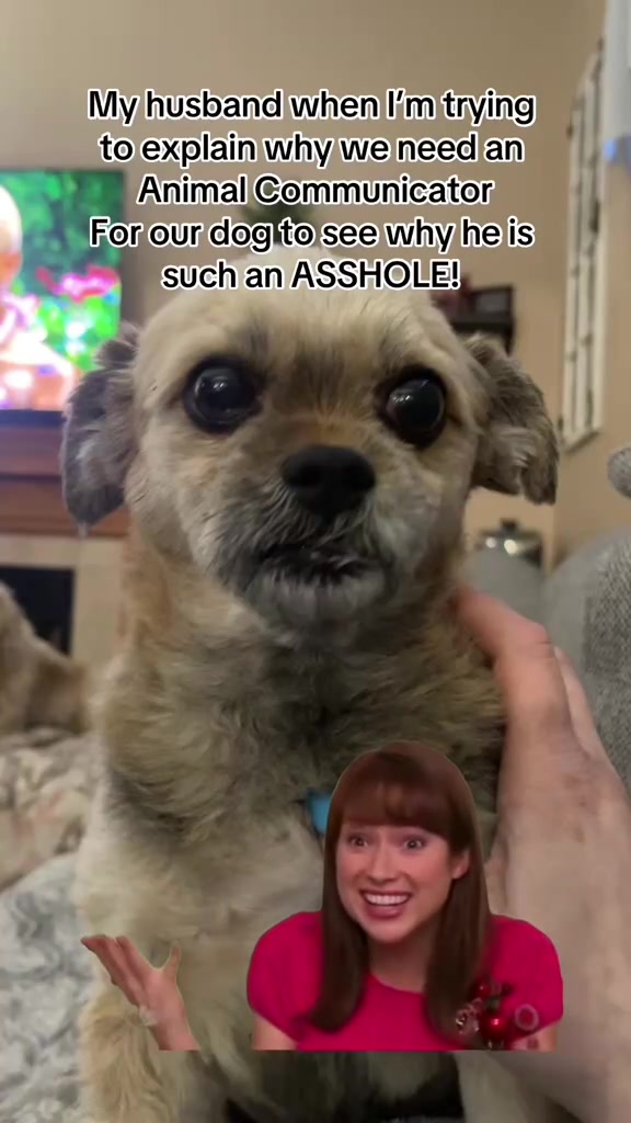 @Tammy