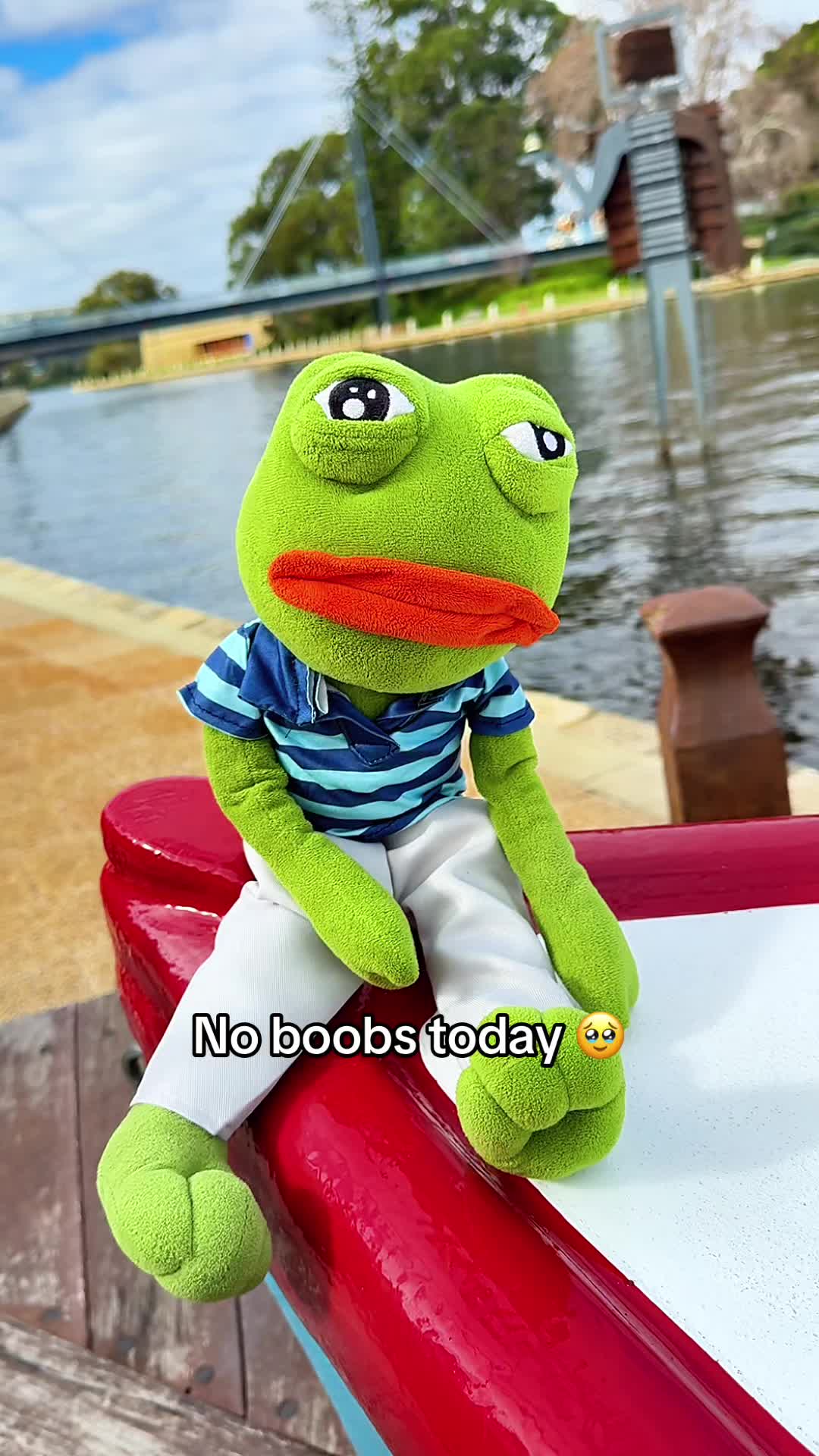 @AdoptAPepe