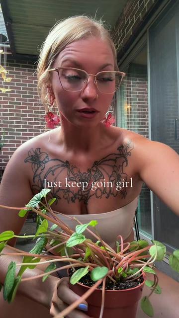 @ceilestewart