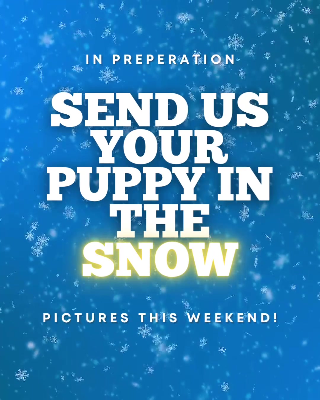 @Furry Tailed Friends NC