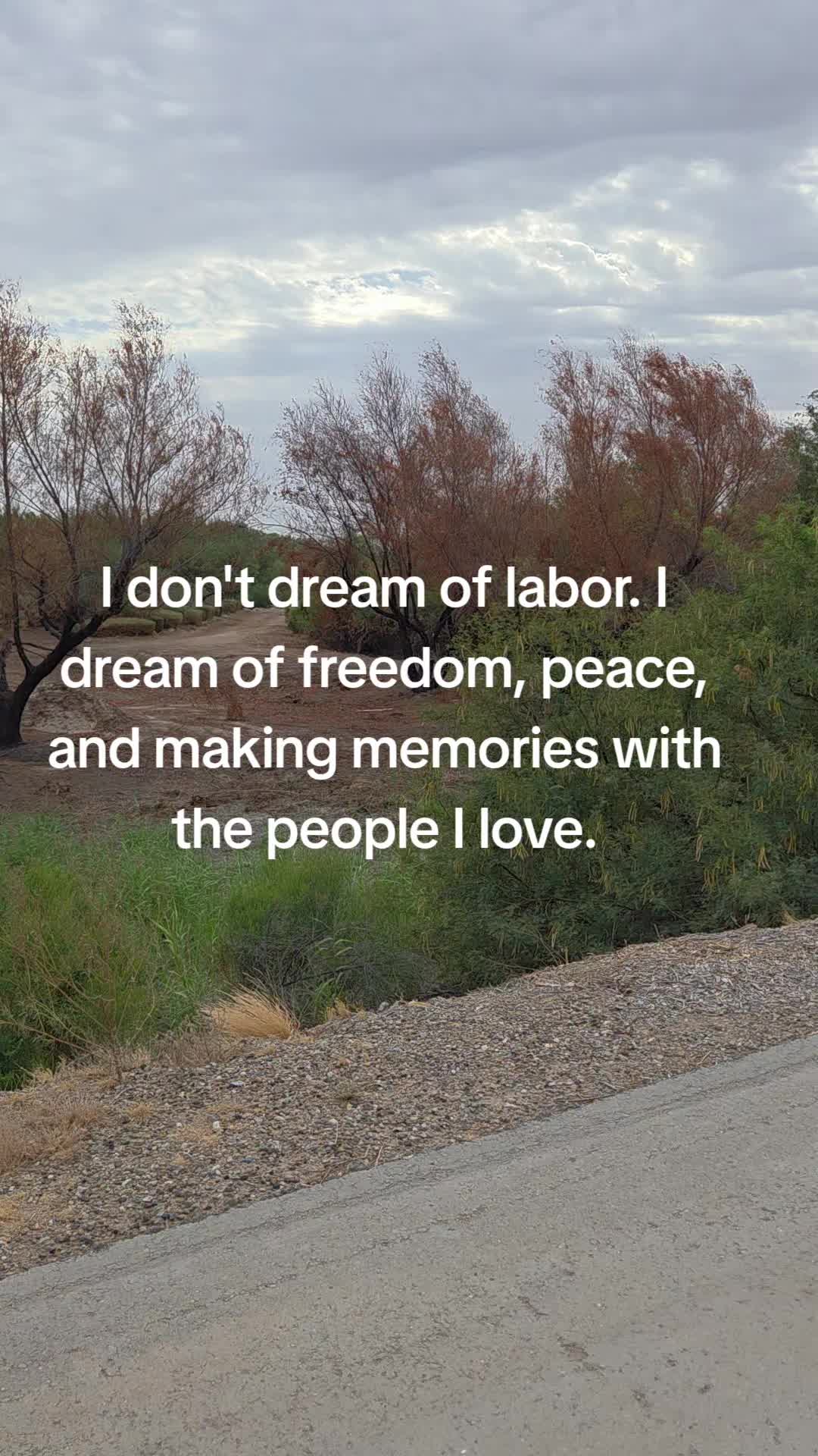 @Openyourmind