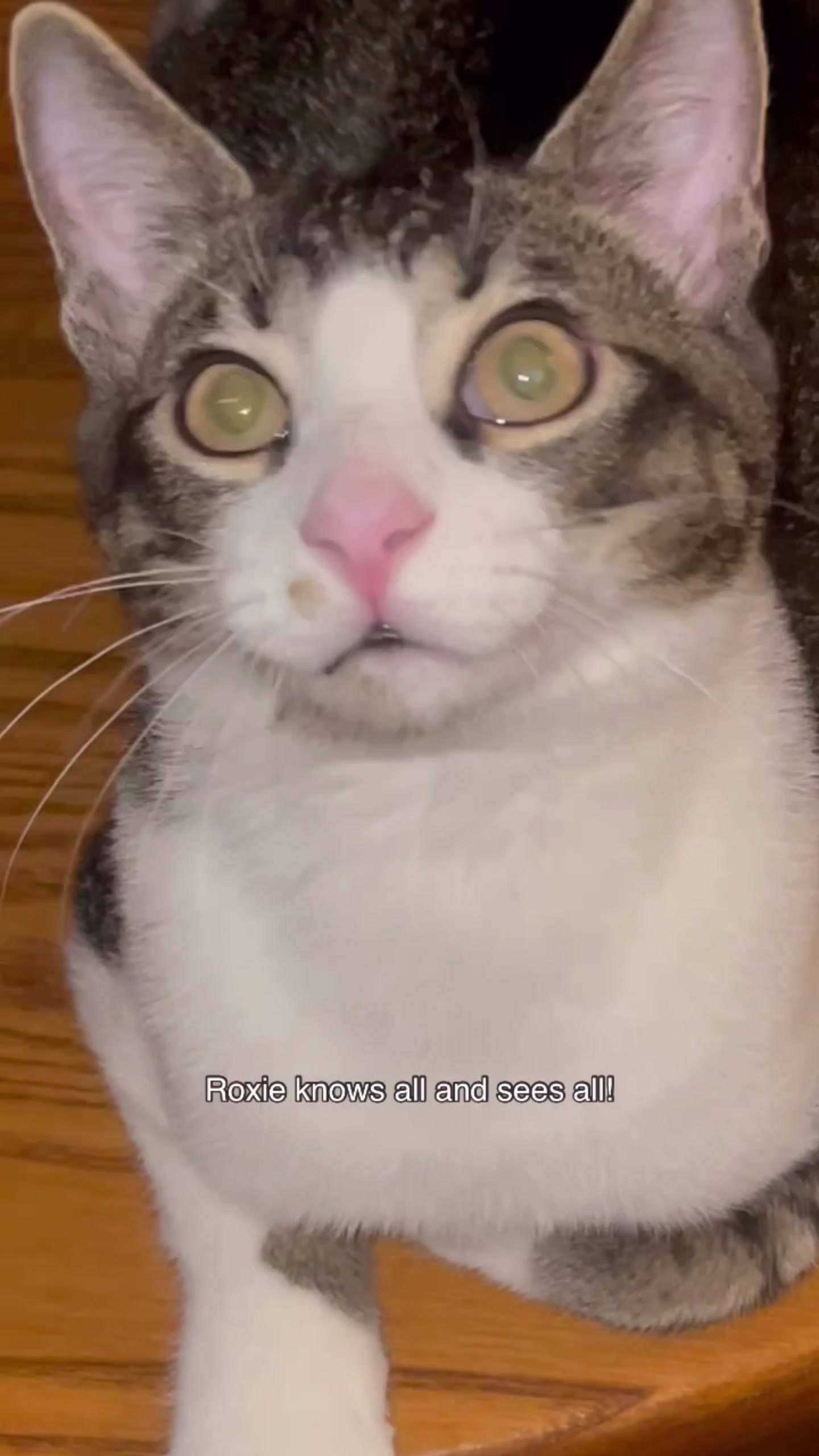 @Susan